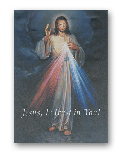 12 x 16 inch Divine Mercy Canvas Print