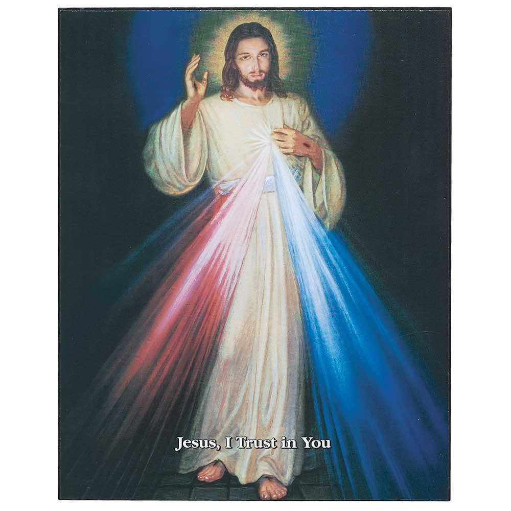 Divine Mercy Plaque by Kathleen Weber 8x10 Wall Plaque