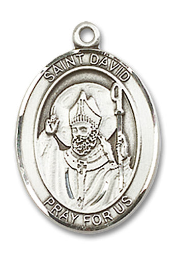 St. David of Wales Medal 8027SS/18S