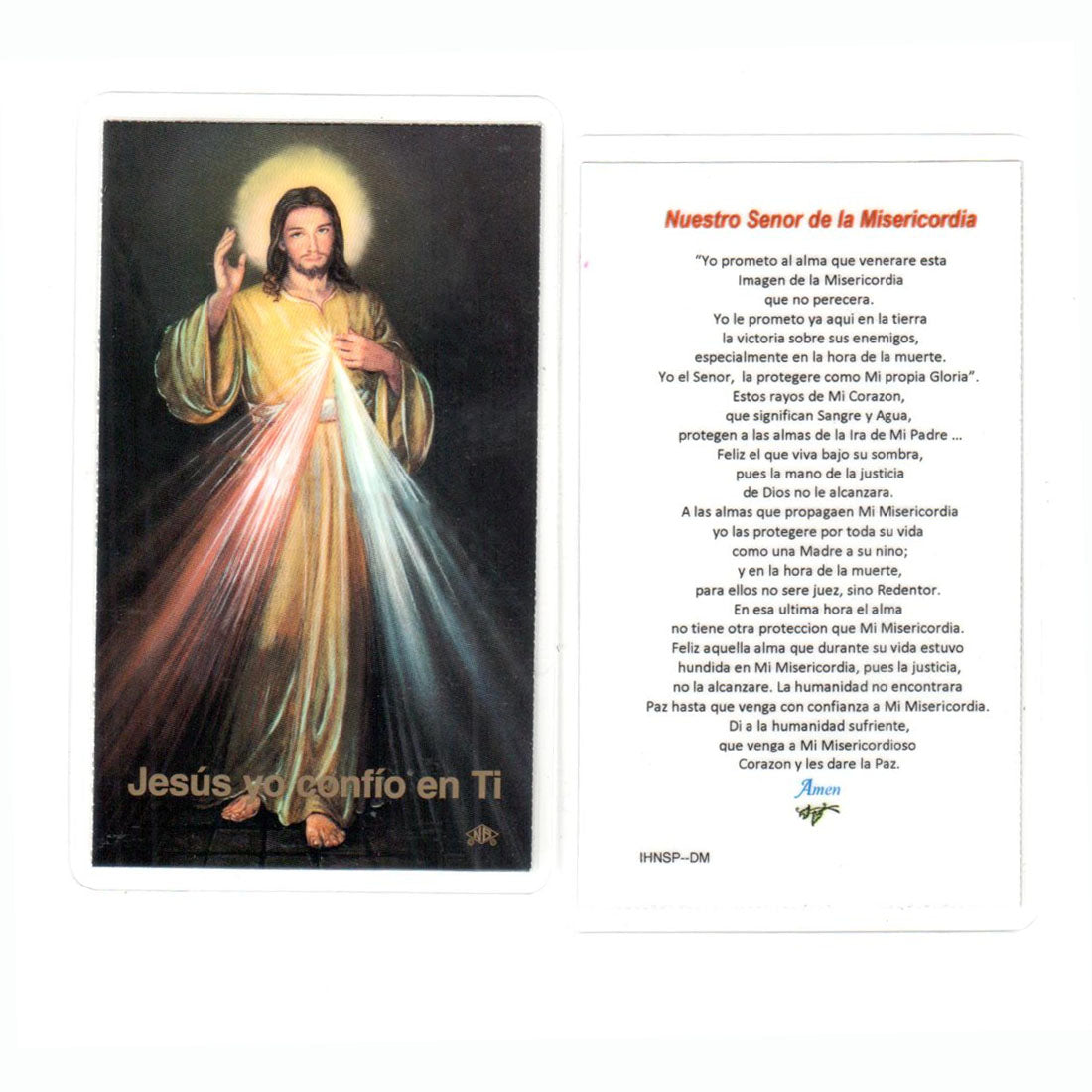 Tarjeta de oración a la Divina Misericordia - Laminated