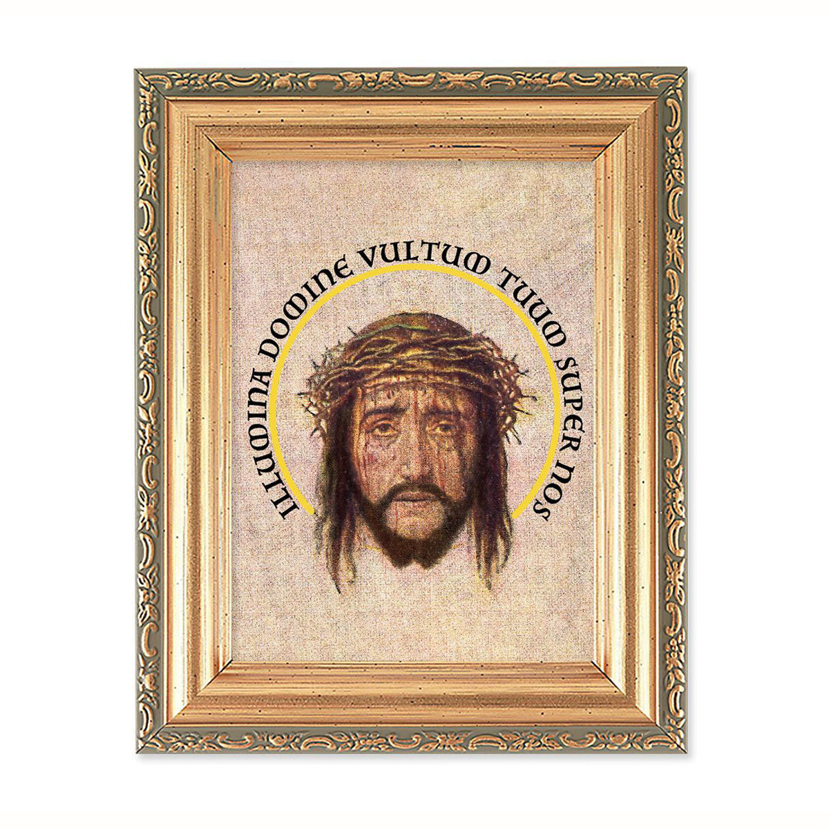 7.5x5.5 inch Holy Face (Veronica's Veil) in Gold Frame