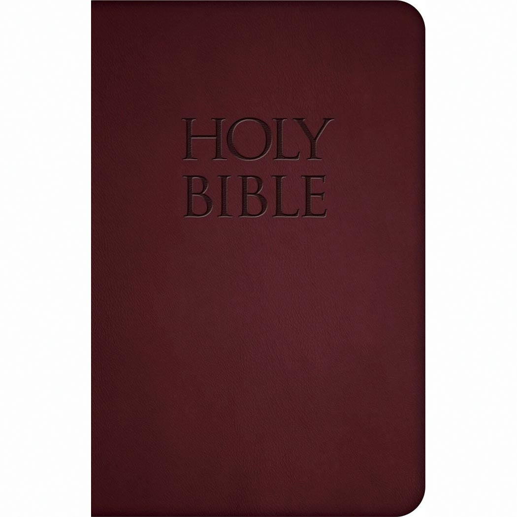 New American Bible Revised Edition (Burgundy Premium UltraSoft)
