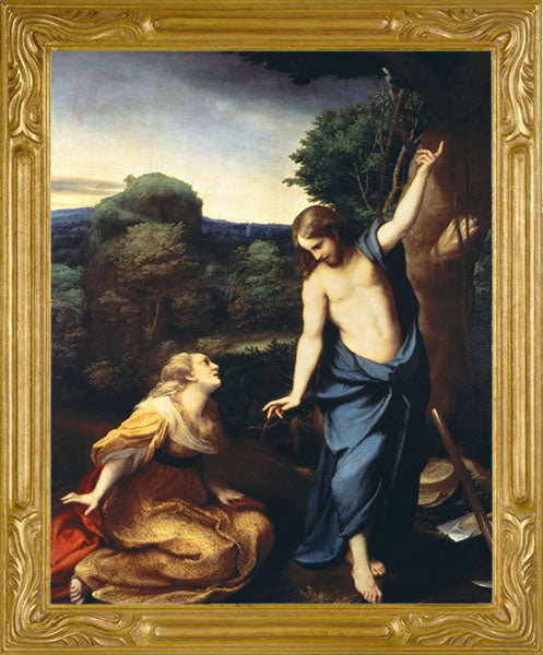 "Do Not Touch Me" - Petite Gallery Framed Canvas