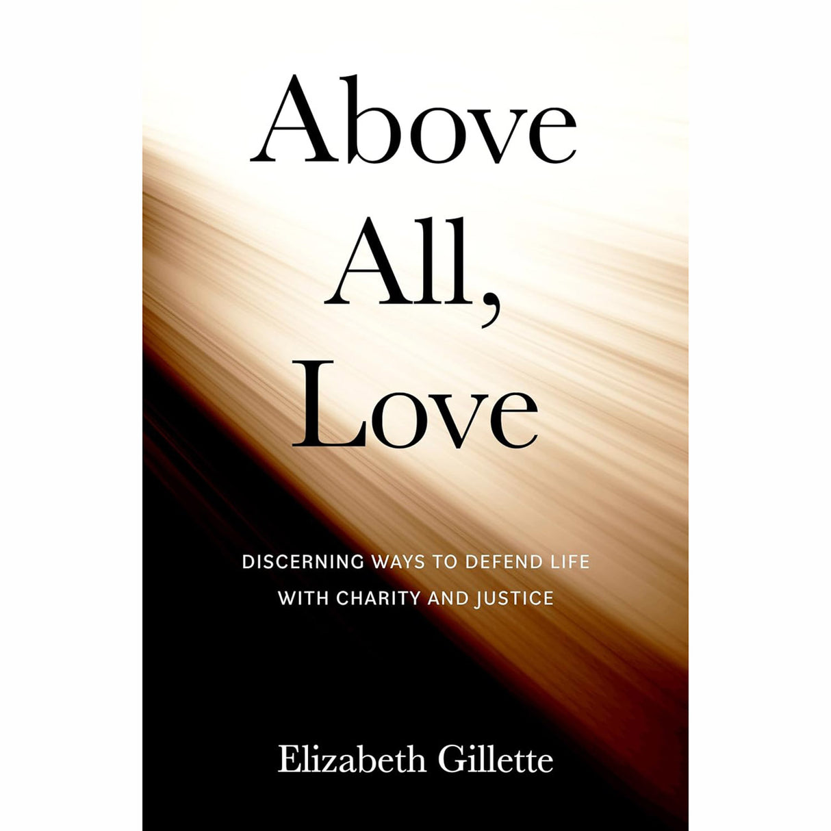 Above All, Love: Discerning Ways to Defend Life with Charity and Justice