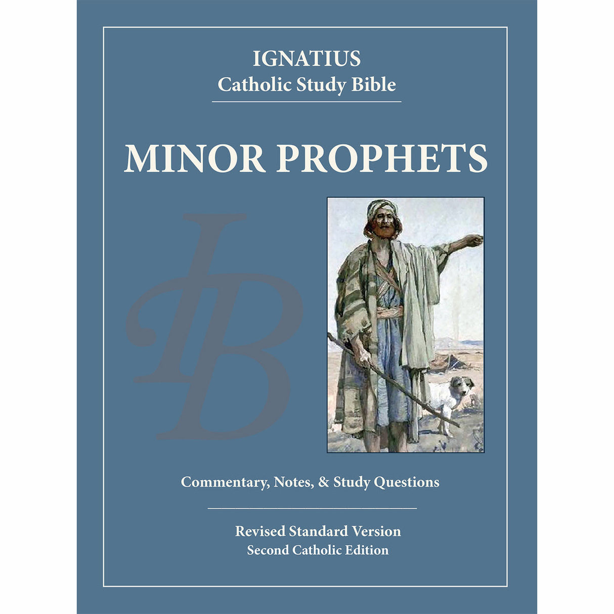 Minor Prophets: Commentary, Notes & Study Questions