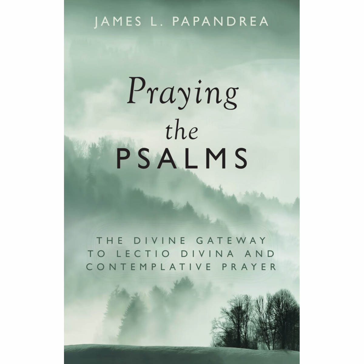 Praying the Psalms: The Divine Gateway to Lectio Divina and Contemplative Prayer
