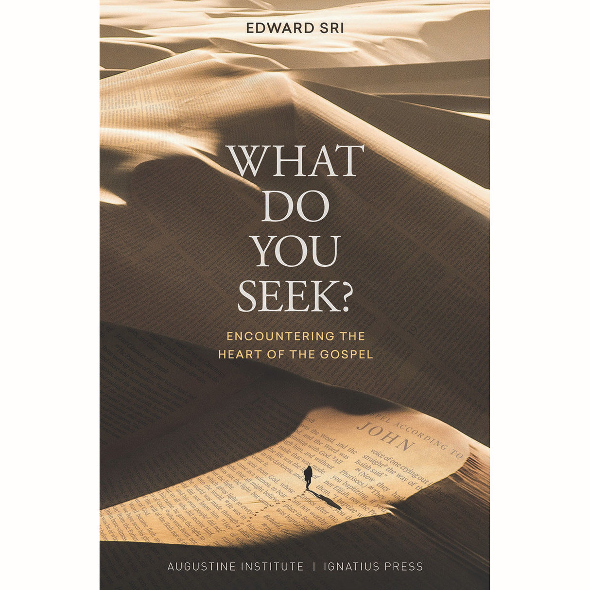What Do You Seek? Encountering the Heart of the Gospel