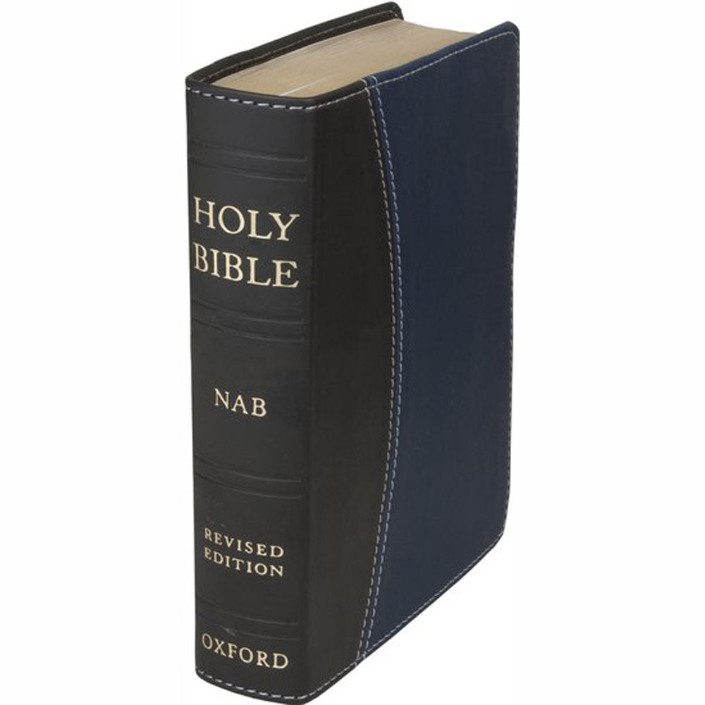 RNAB Compact Bible with Blue & Gray Leather Binding