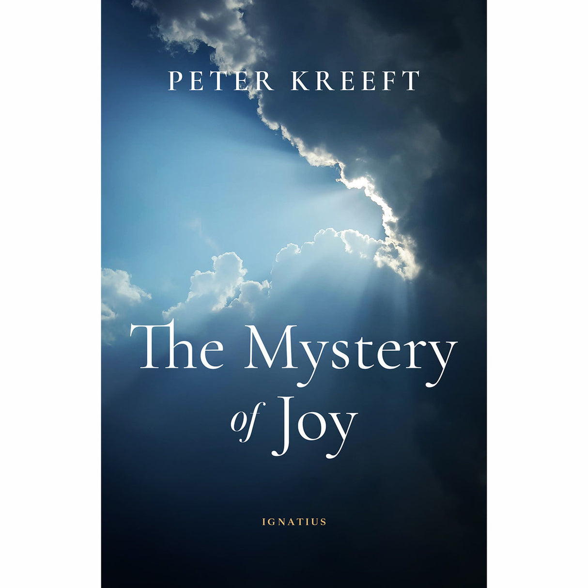 Mystery of Joy