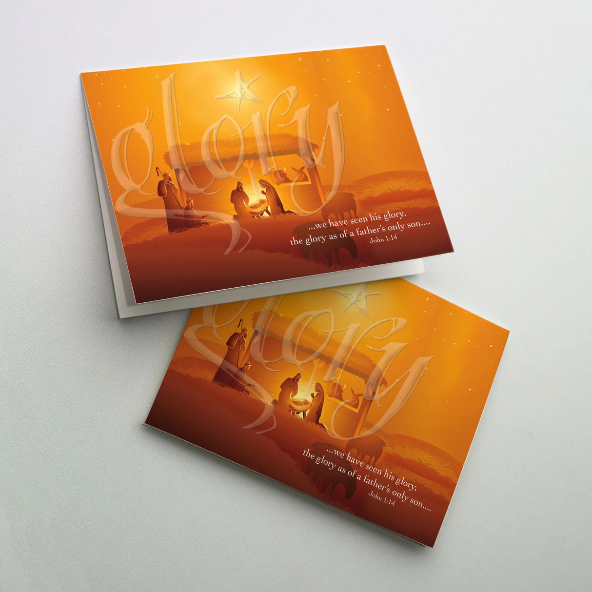 Contemporary Nativity Christmas Boxed Greeting Cards 20ct