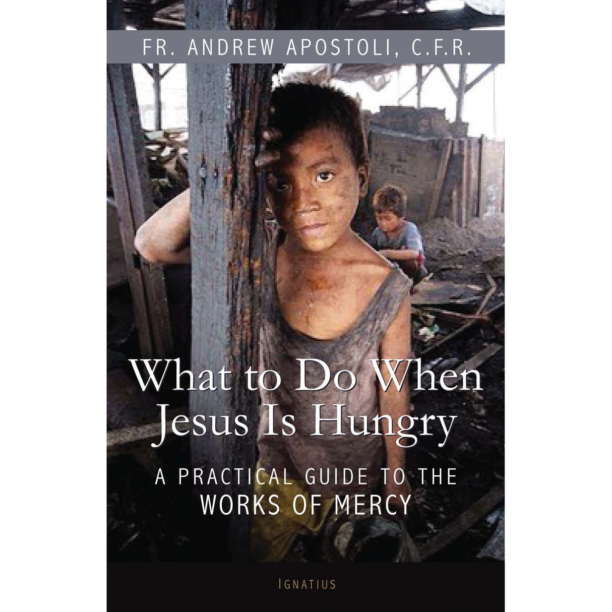 What to Do When Jesus Is Hungry: A Practical Guide to the Works of Mercy