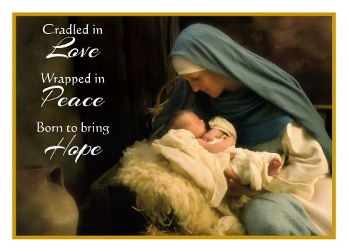 Wrapped in Love Christmas Boxed Cards 10ct