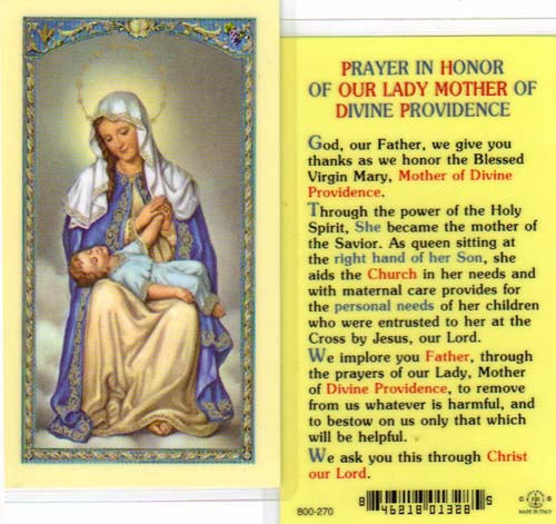 Our Lady of Divine Providence Prayer Cards - 800-270