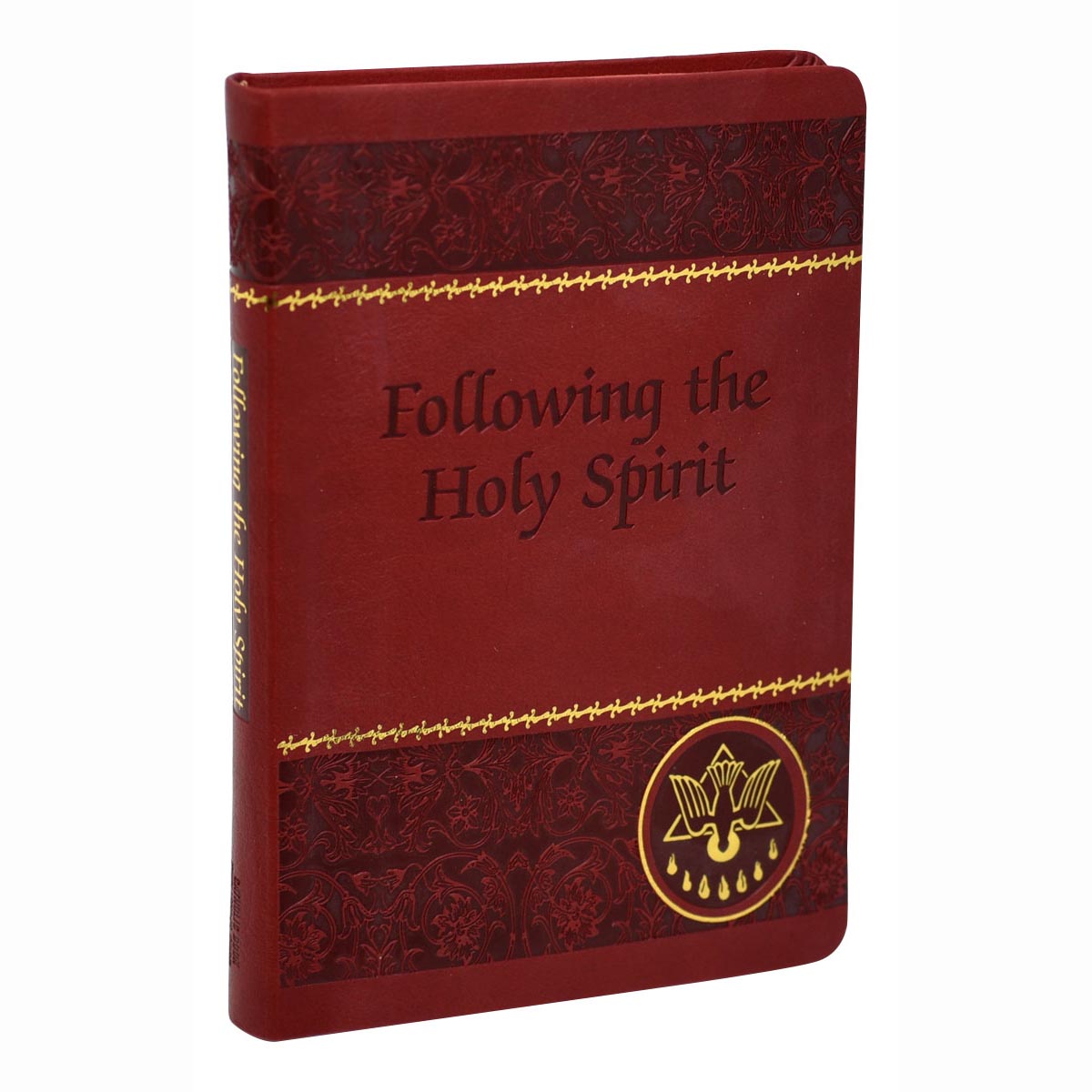 Following the Holy Spirit