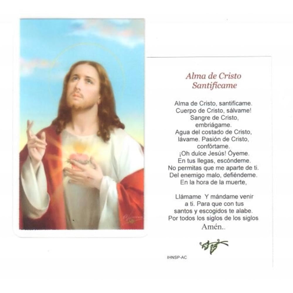Animi Christo Spanish Laminated Holy Cards