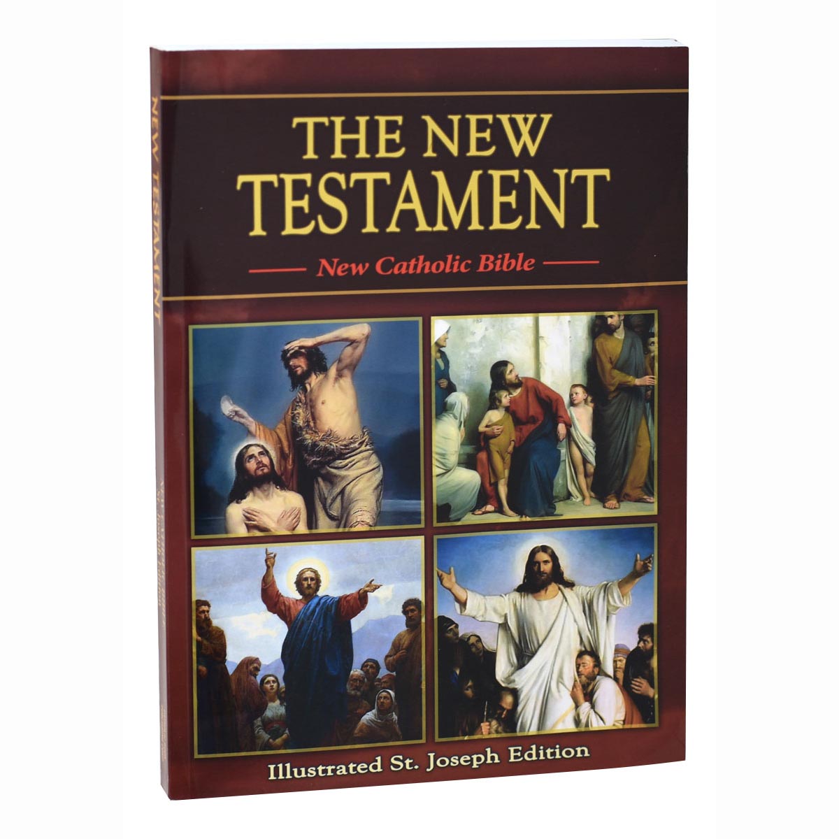 New Testament Study Edition NCV 311/04