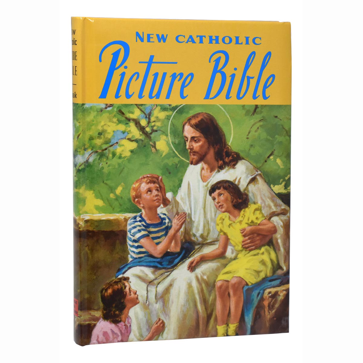 New Catholic Picture Bible 435/22