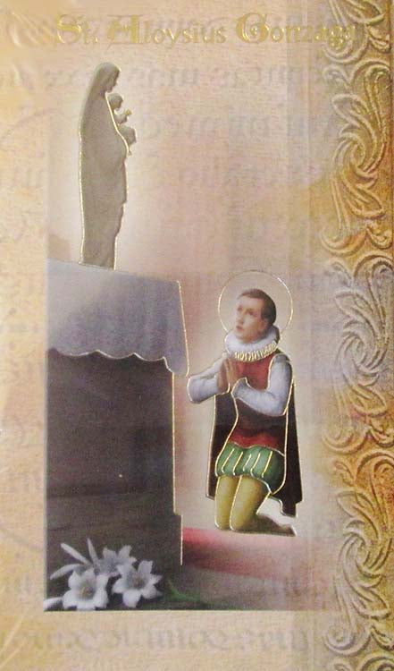 Saint Aloysius Gonzaga Biography Pamphlet