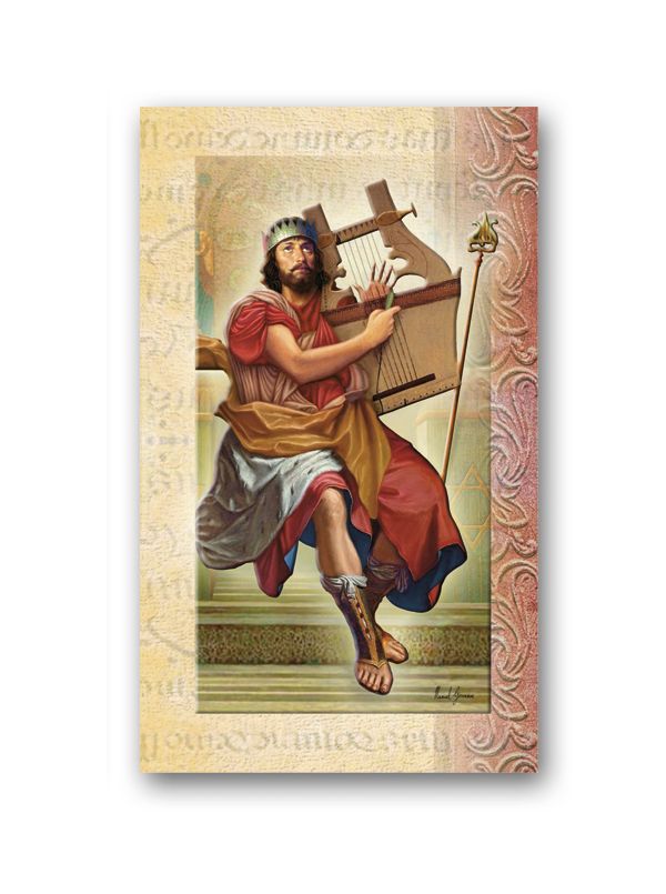 Saint David Biography Pamphlet