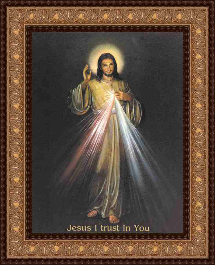 Divine Mercy on 12x16 Framed Canvas