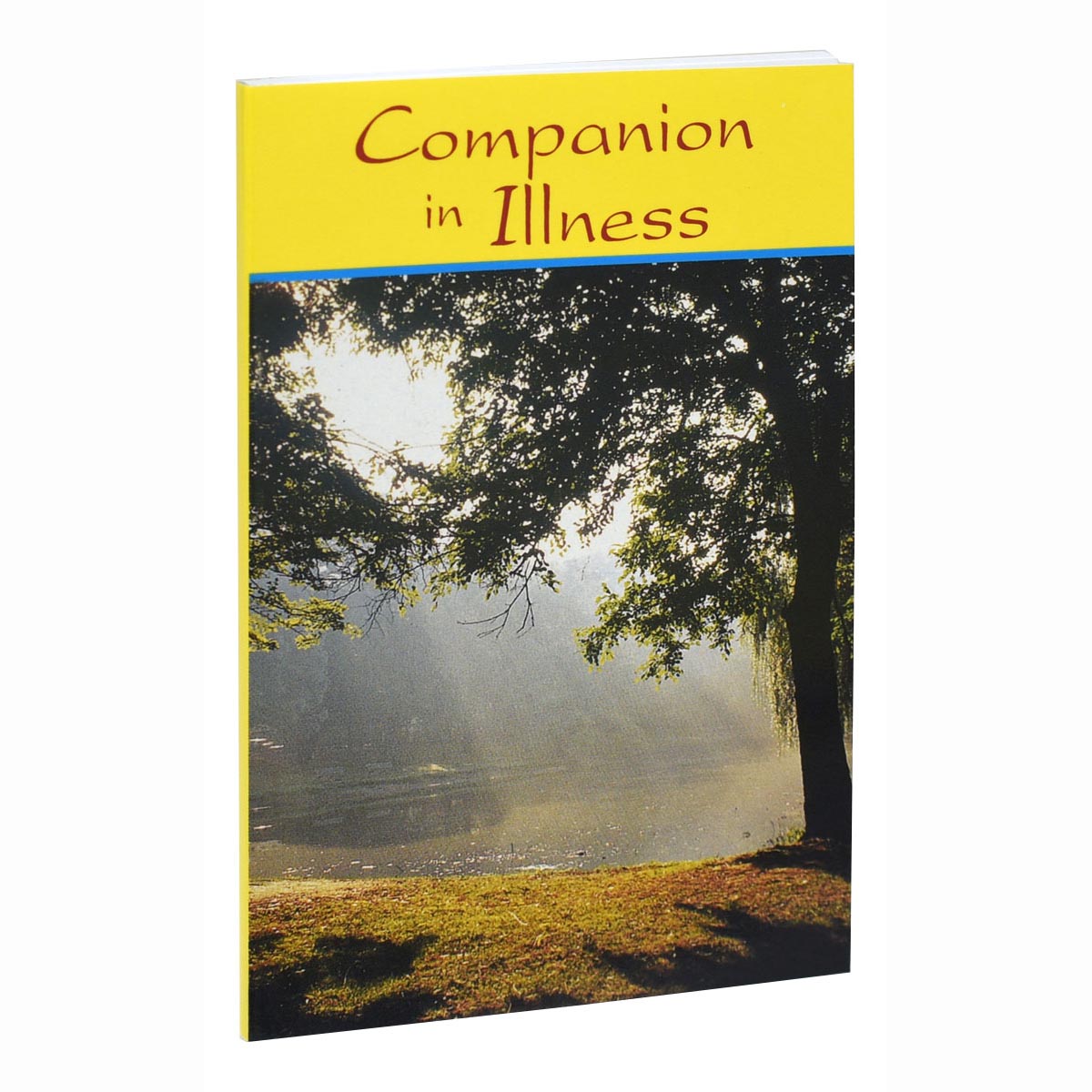 Companion in Illness