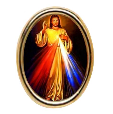 Divine Mercy Photo Style Lapel Pin