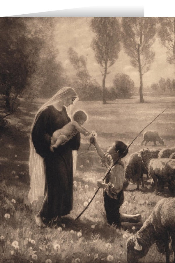 Gift of the Shepherd Christmas Cards 25ct