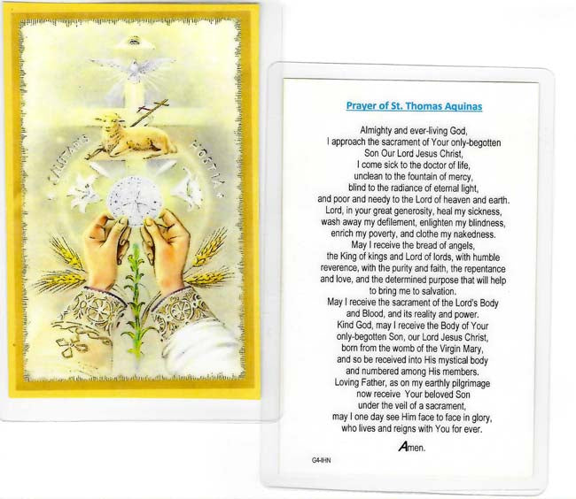 Prayer Before Communion Large Laminated Holy Card