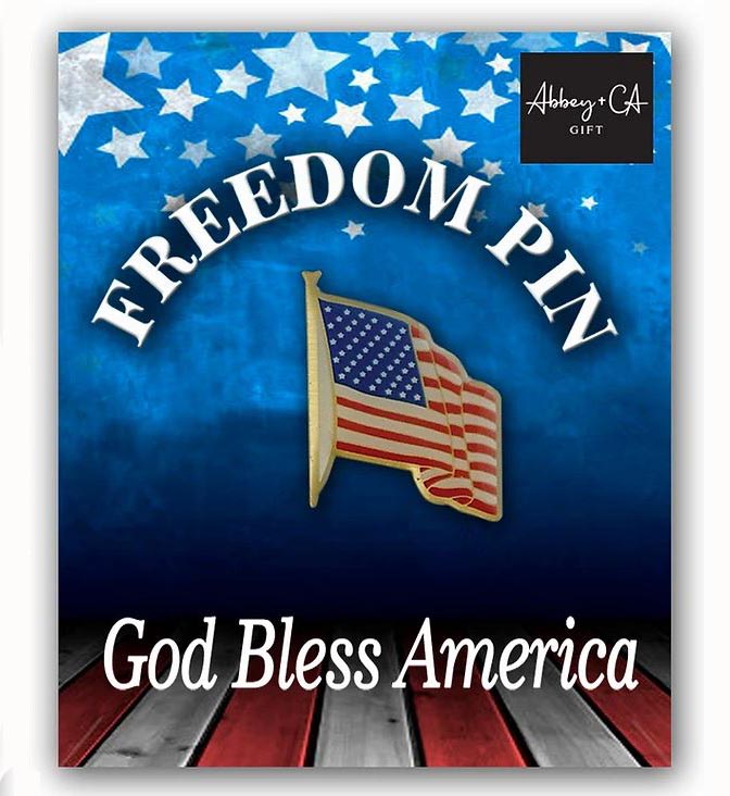 US American Freedom Flag Lapel Pin USA107