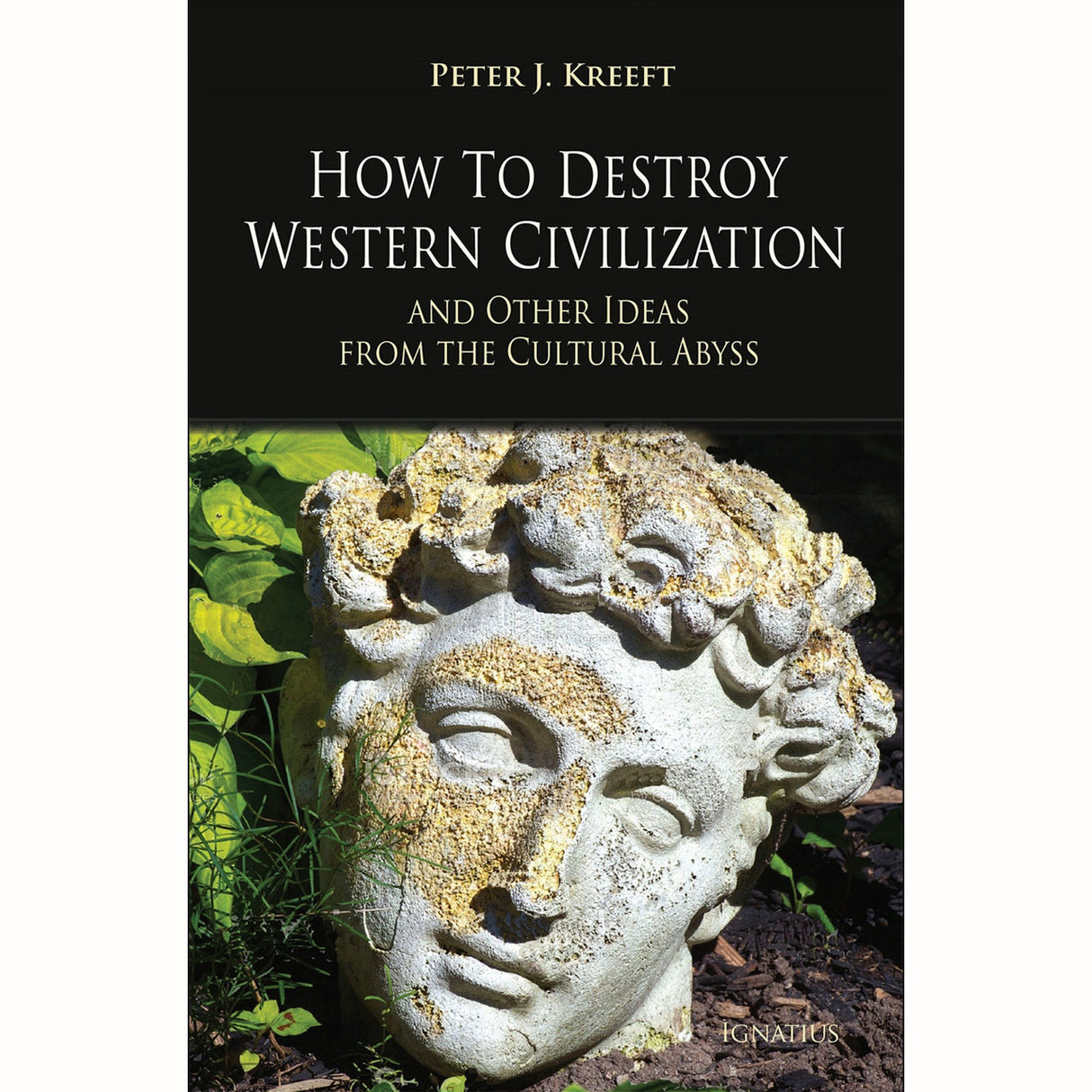 How To Destroy Western Civilization And Other Ideas from the Cultural Abyss