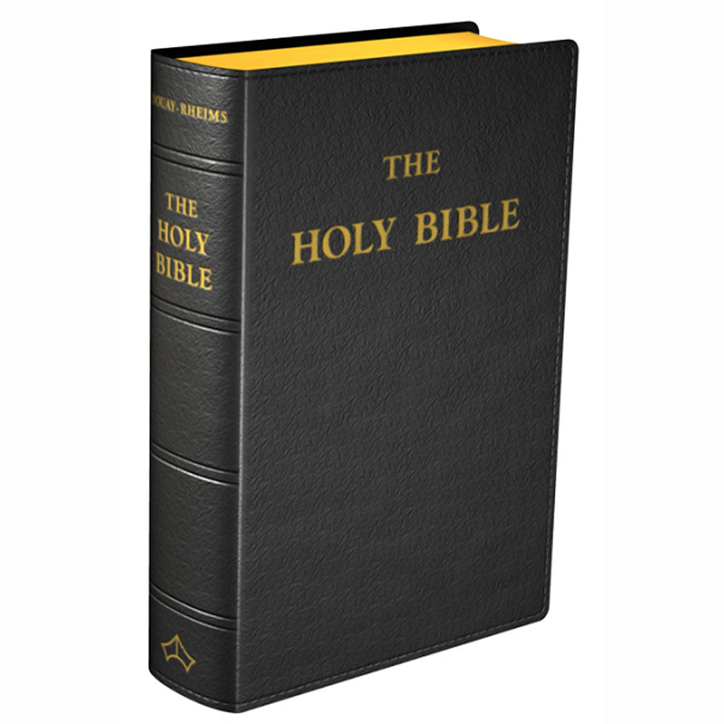 Douay-Rheims Bible Black Leather Study Size
