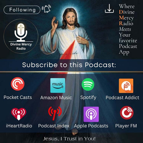 Catholic Radio on Your Phone (and Computer)