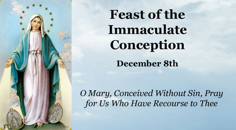 The Immaculate Conception of the Blessed Virgin Mary