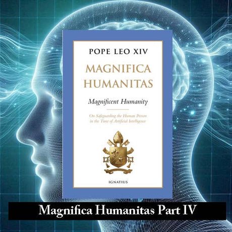 The Most Recent Papal Encyclical: Magnifica Humanitas  Part IV: Chapter Two