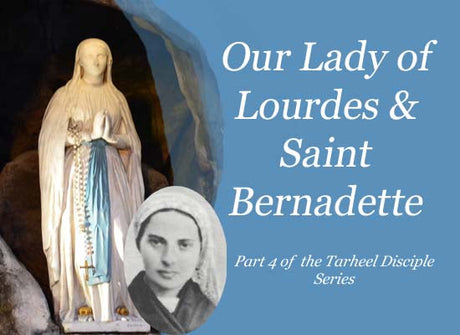 Our Lady of Lourdes-Part IV