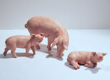 Pig Family Fontanini 5 inch scale Figure Set  no. 54081