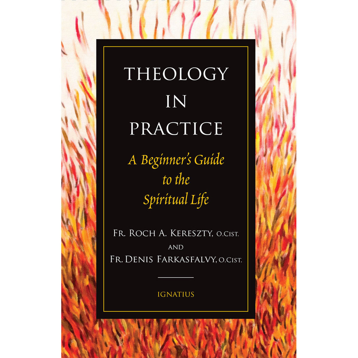 Theology in Practice: A Beginner's Guide to the Spiritual Life