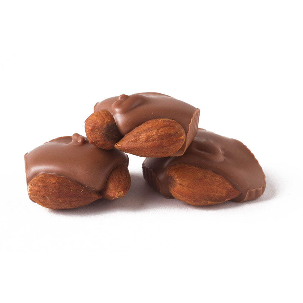 Trappistine Milk Chocolate Almond Squares Gift Box