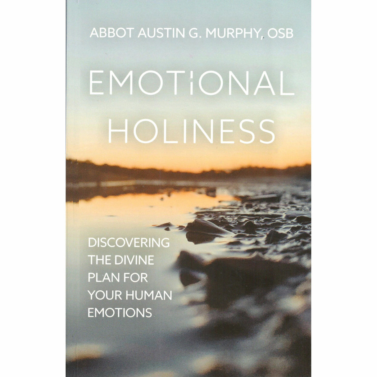 Emotional Holiness: Discovering The Divine Plan For Your Human Emotions
