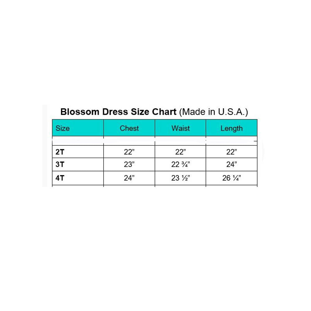 Sleeveless Baptism Dress for Toddlers BL255B