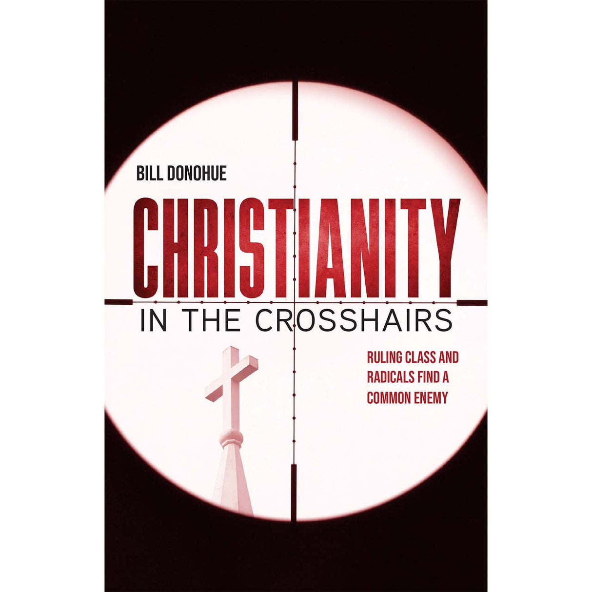 Christianity In The Crosshairs: Ruling Class and Radicals Find a Common Enemy