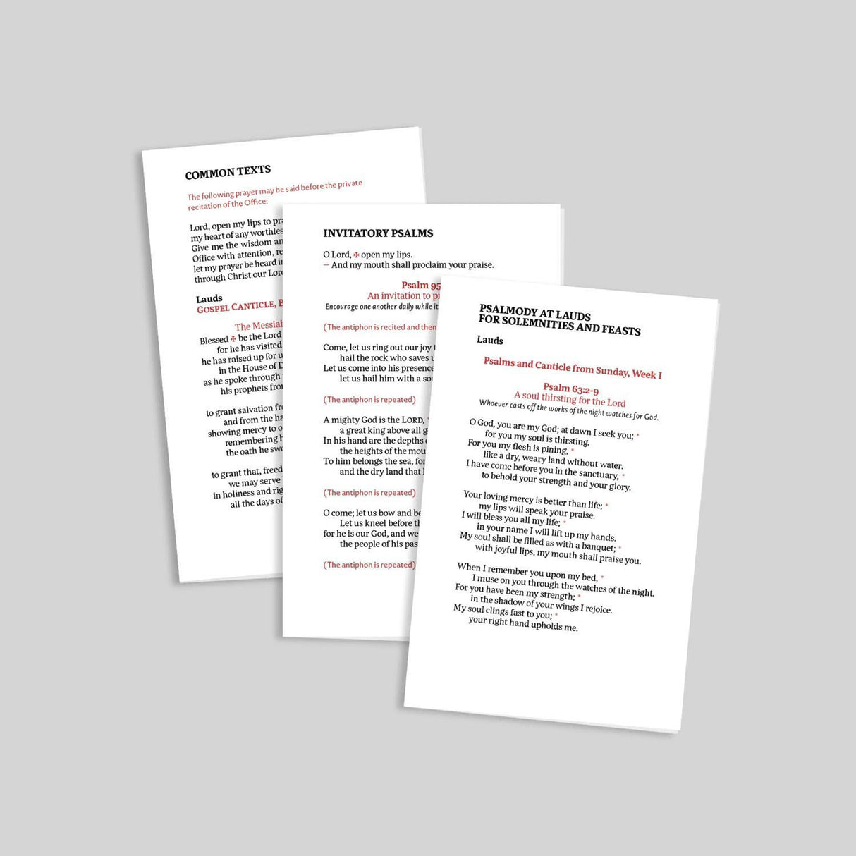 Volume 3 Liturgy of the Hours 2nd Edition - Standard Print Black Premium Leather
