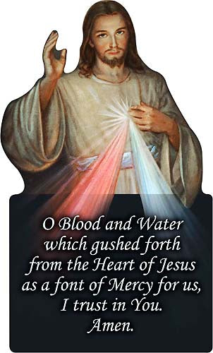 Divine Mercy Color Visor Clip