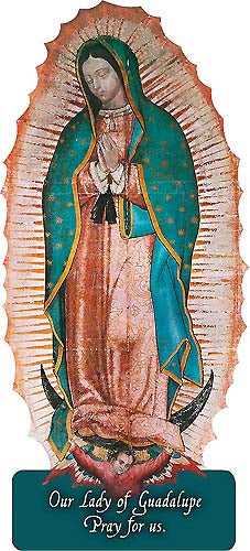 Our Lady of Guadalupe Color Visor Clip