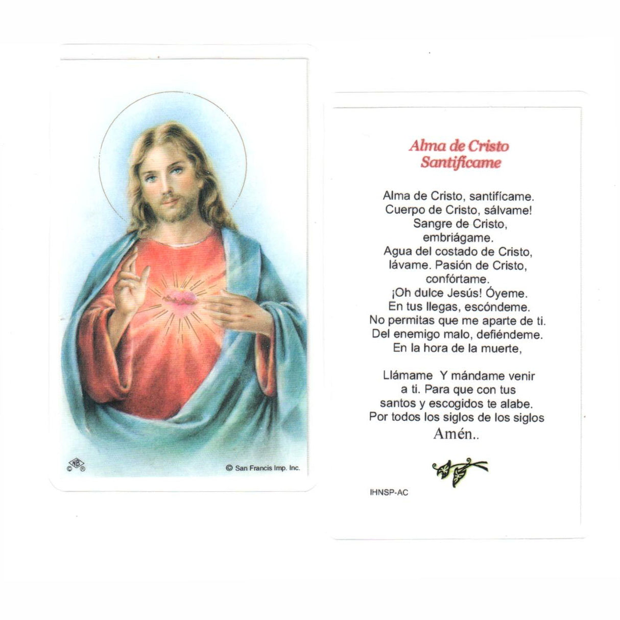 Animi Christo Spanish Laminated Holy Cards