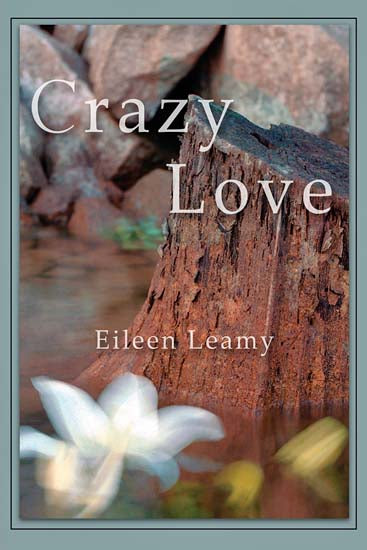 Crazy Love