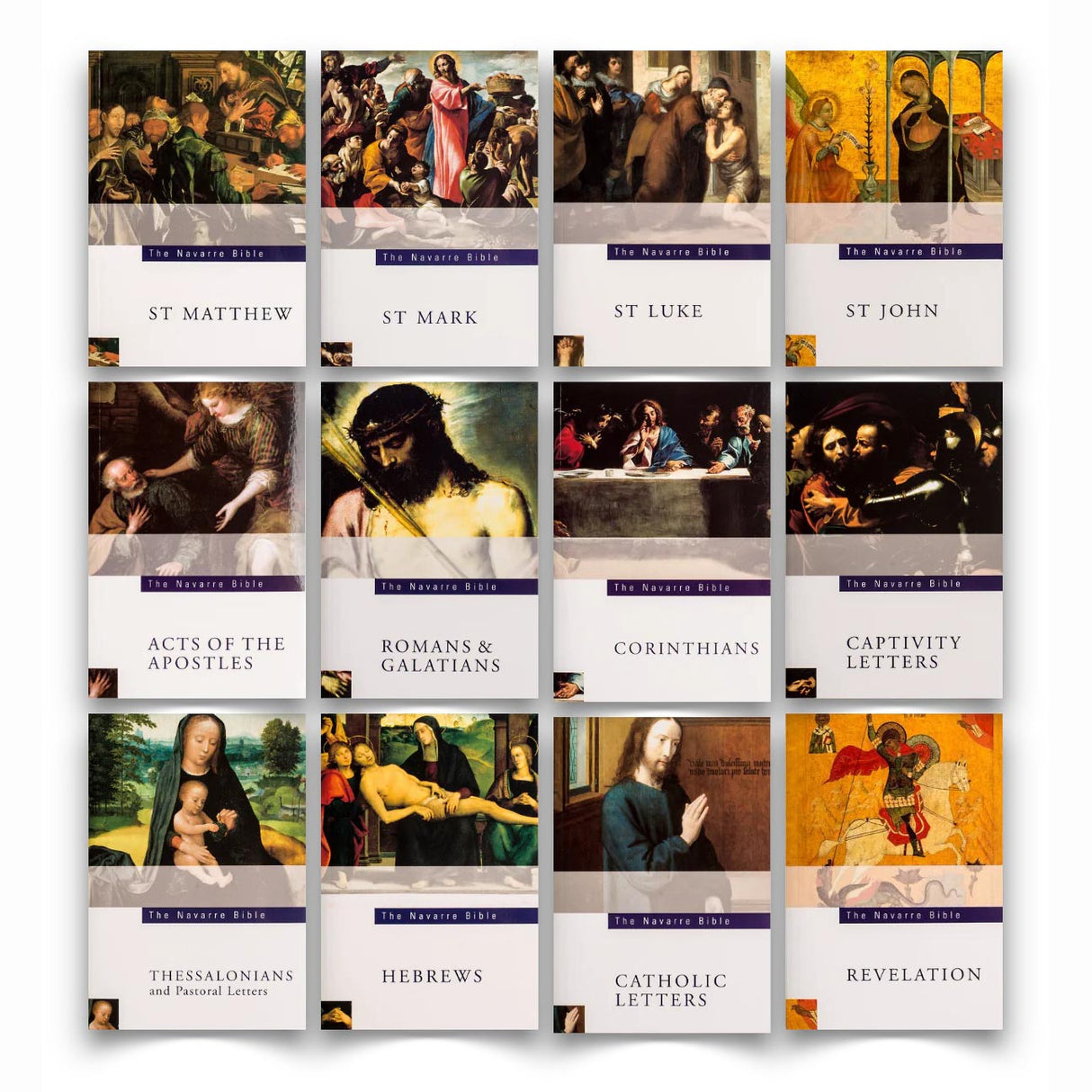 Navarre Bible New Testament Study Series