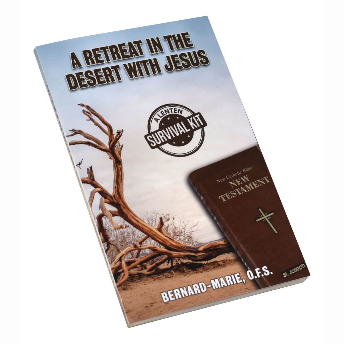 A Retreat in the Desert with Jesus