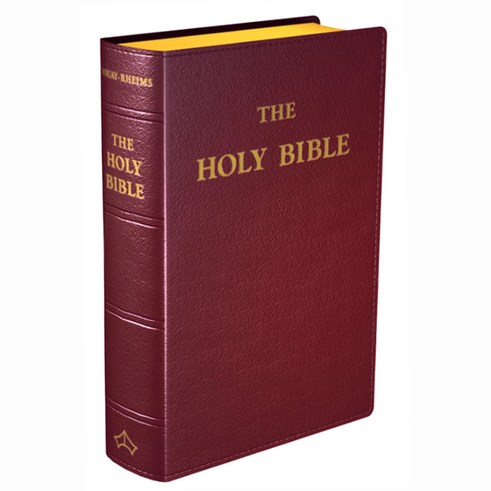 Douay Rheims Bible Burgundy Leather Study Size – In His Name Store