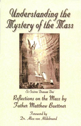 Understanding the Mass - Reflections on the Mass